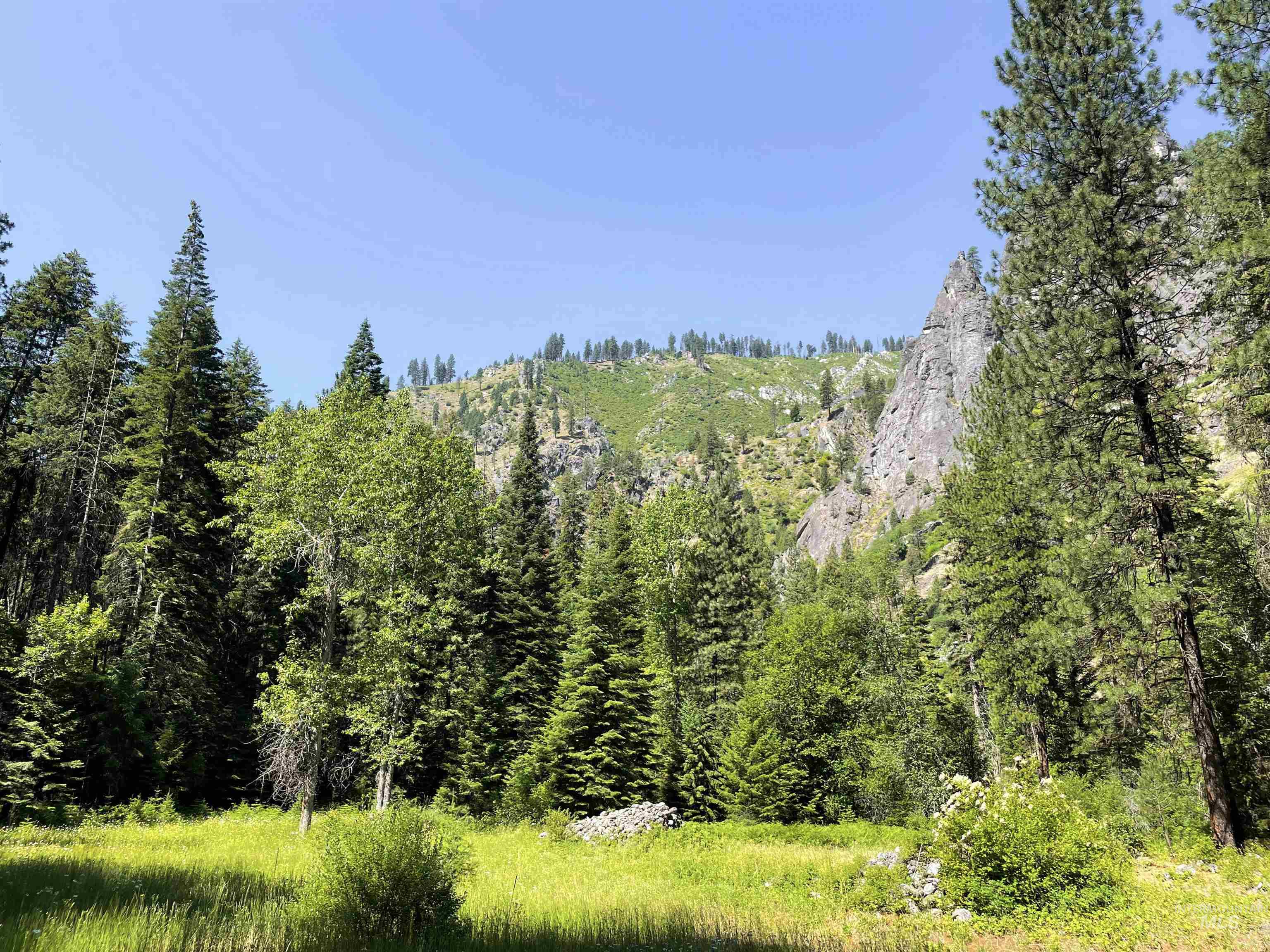 3869 Big Salmon River Rd Property Photo 26