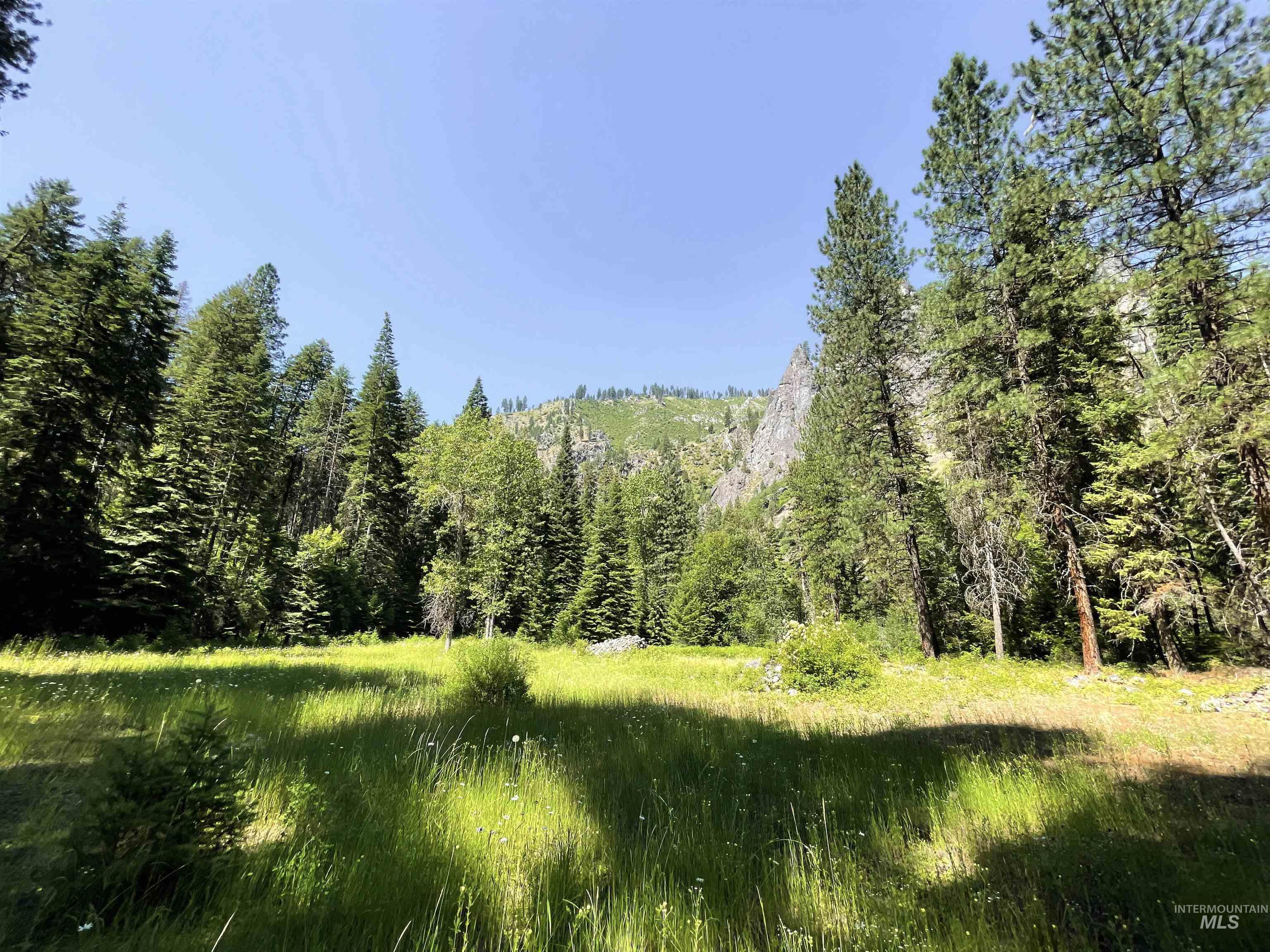 3869 Big Salmon River Rd Property Photo 27
