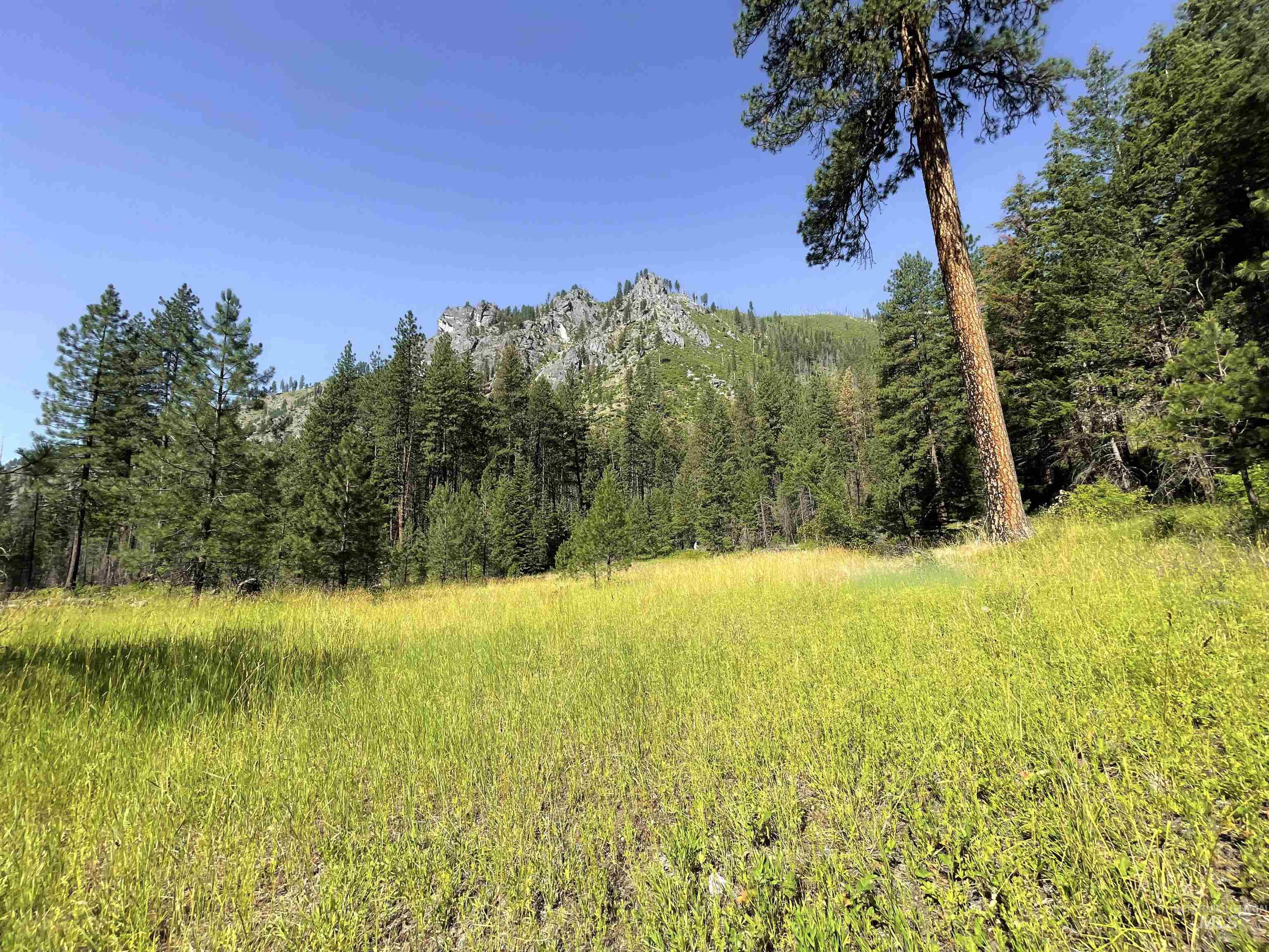 3869 Big Salmon River Rd Property Photo 28