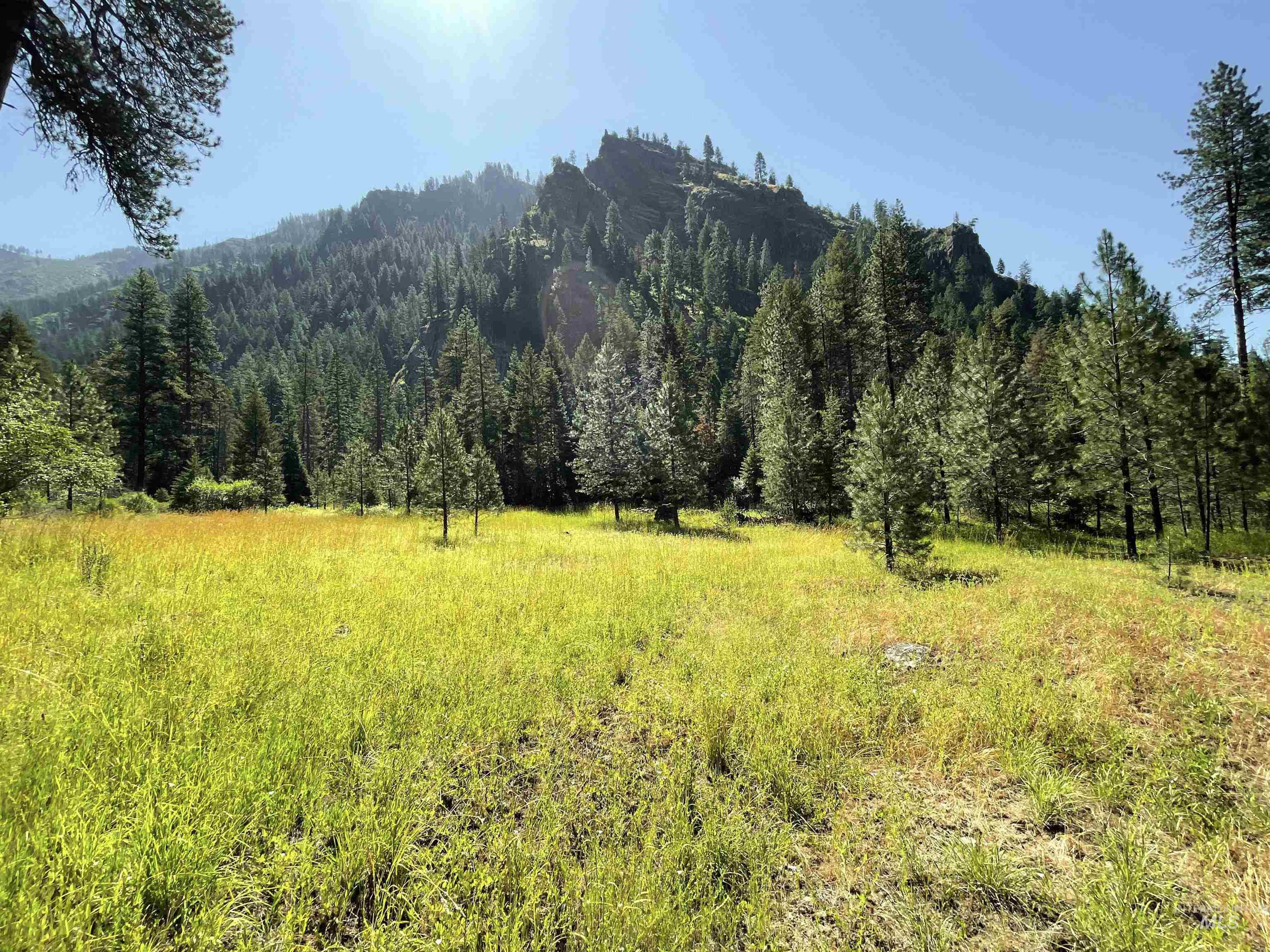 3869 Big Salmon River Rd Property Photo 29
