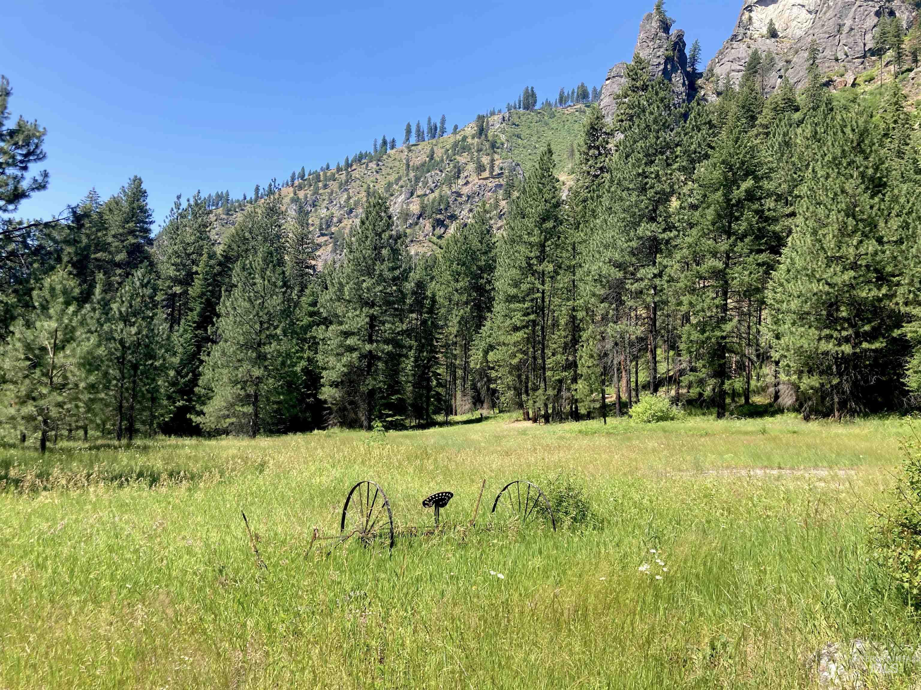 3869 Big Salmon River Rd Property Photo 32