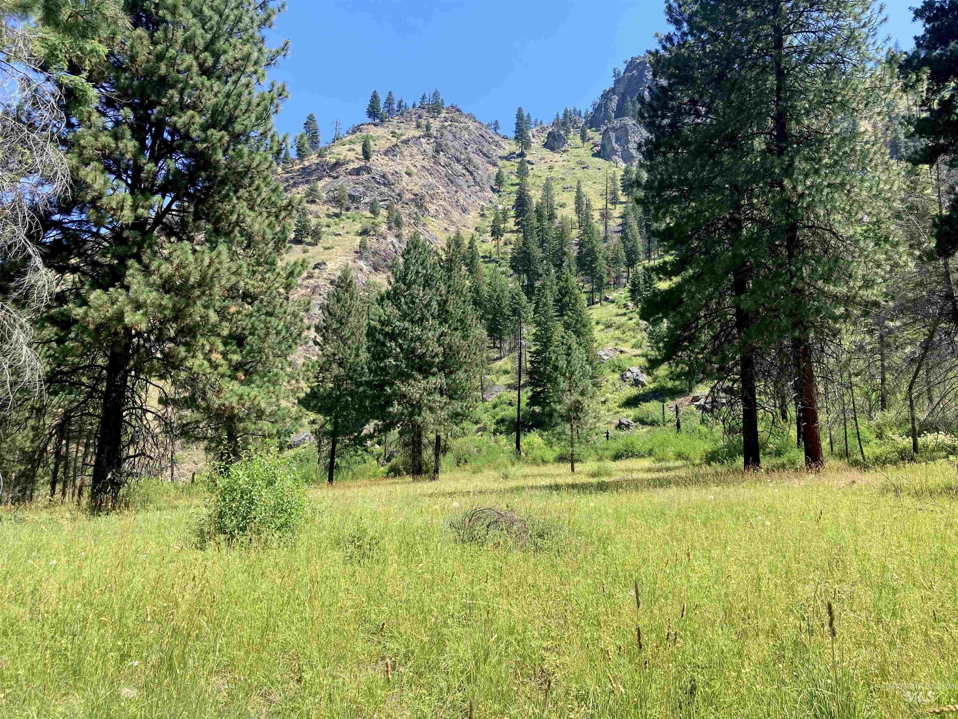 3869 Big Salmon River Rd Property Photo 34