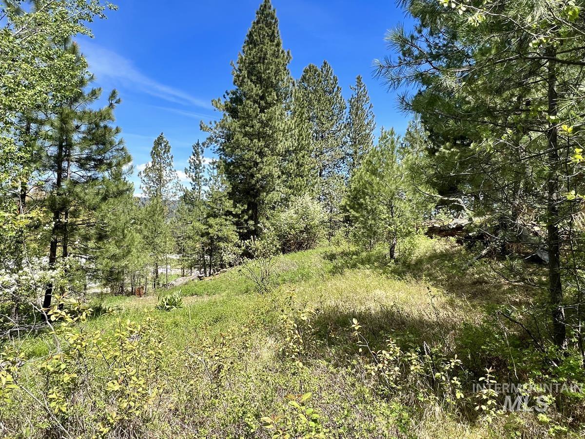 T75 Li Cabarton Road Property Photo 7