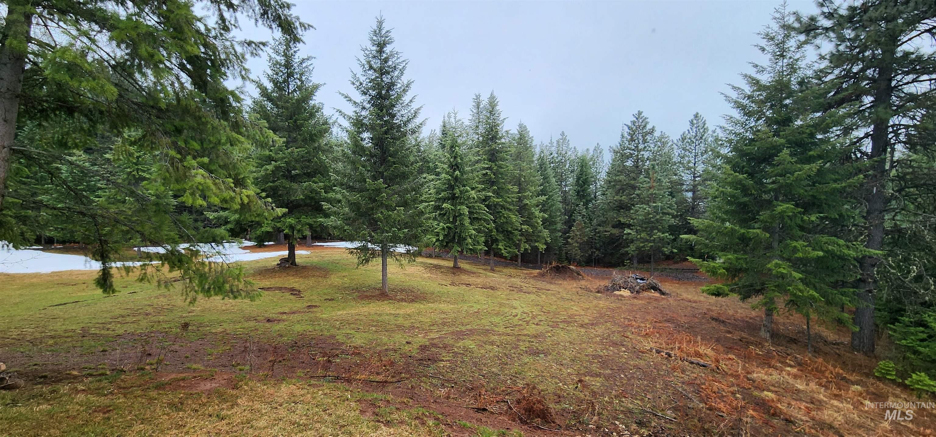 229 Henderson Loop Rd Property Photo 36