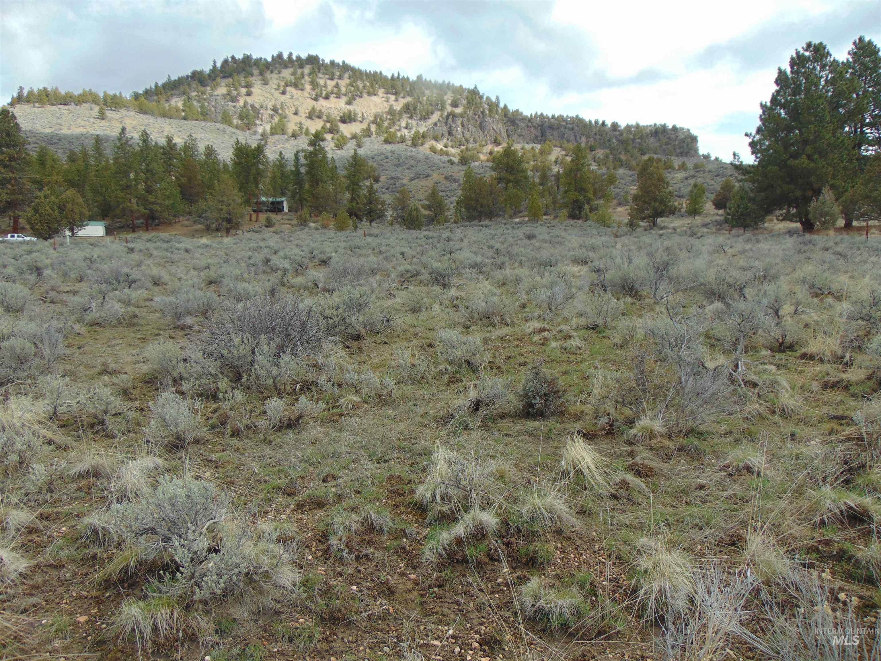 Tbd Rattlesnake Ln. Property Photo 2