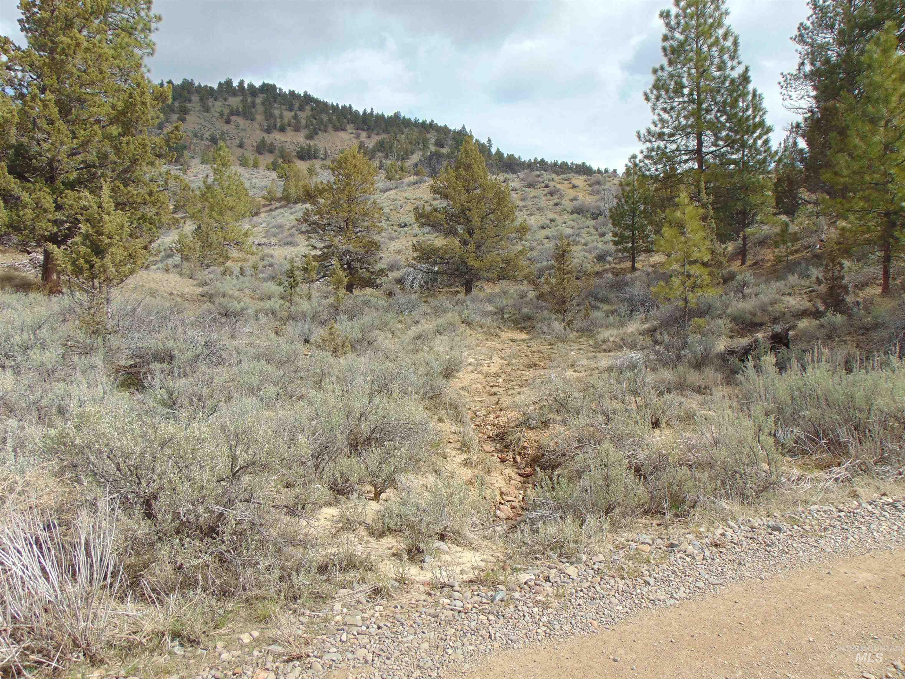Tbd Rattlesnake Ln. Property Photo 3