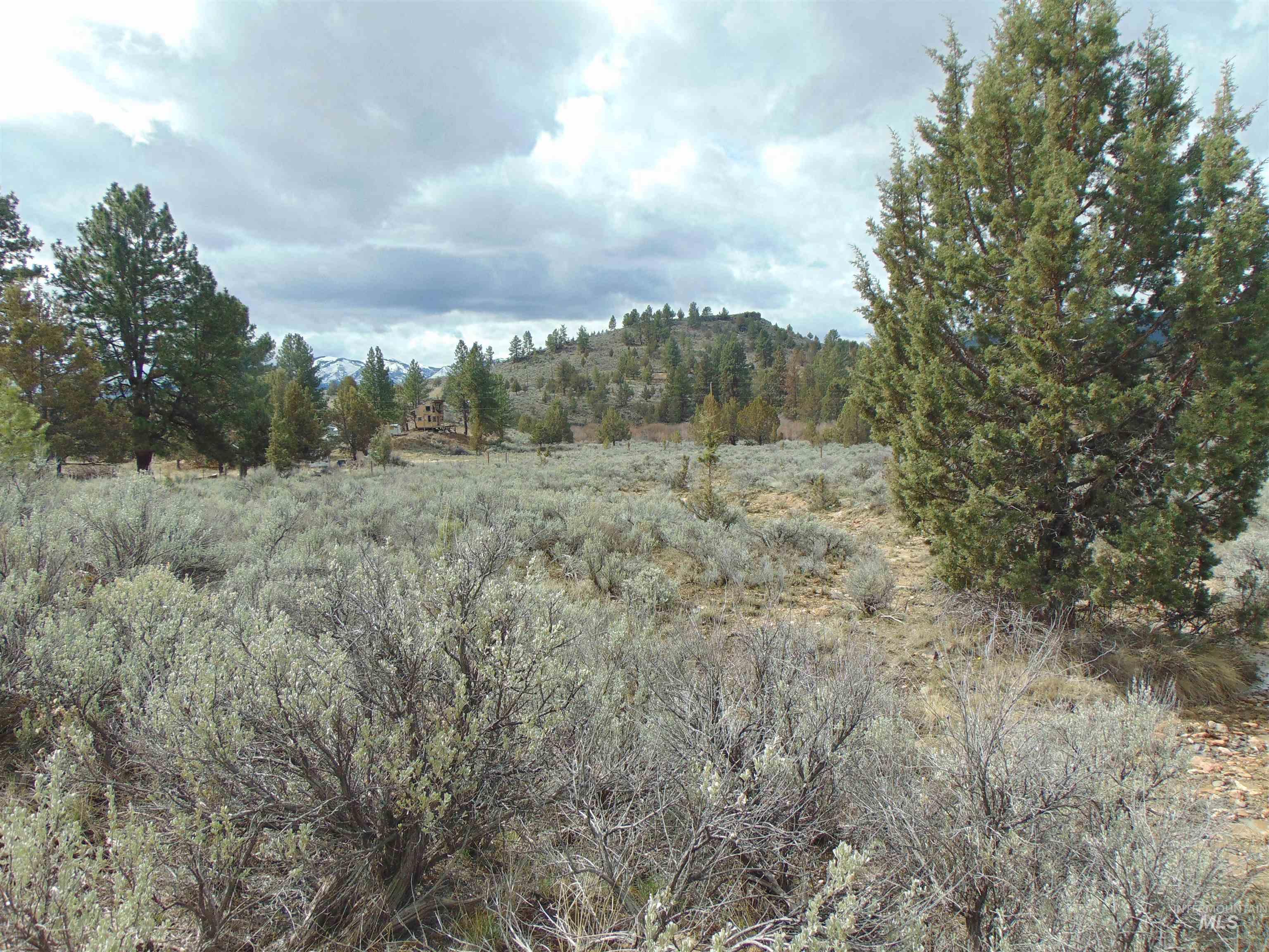 Tbd Rattlesnake Ln. Property Photo 4