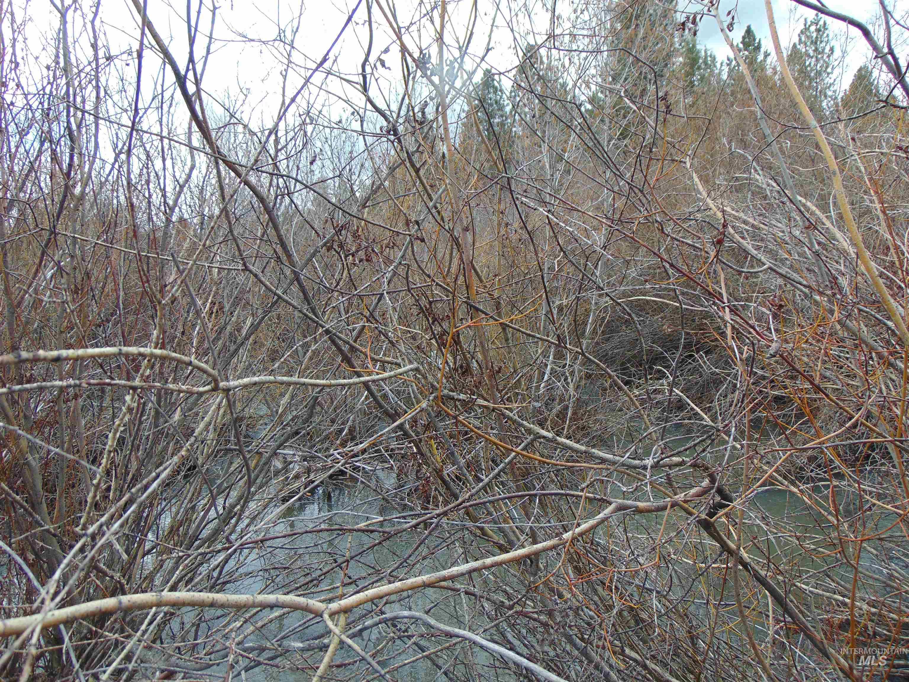 Tbd Rattlesnake Ln. Property Photo 5