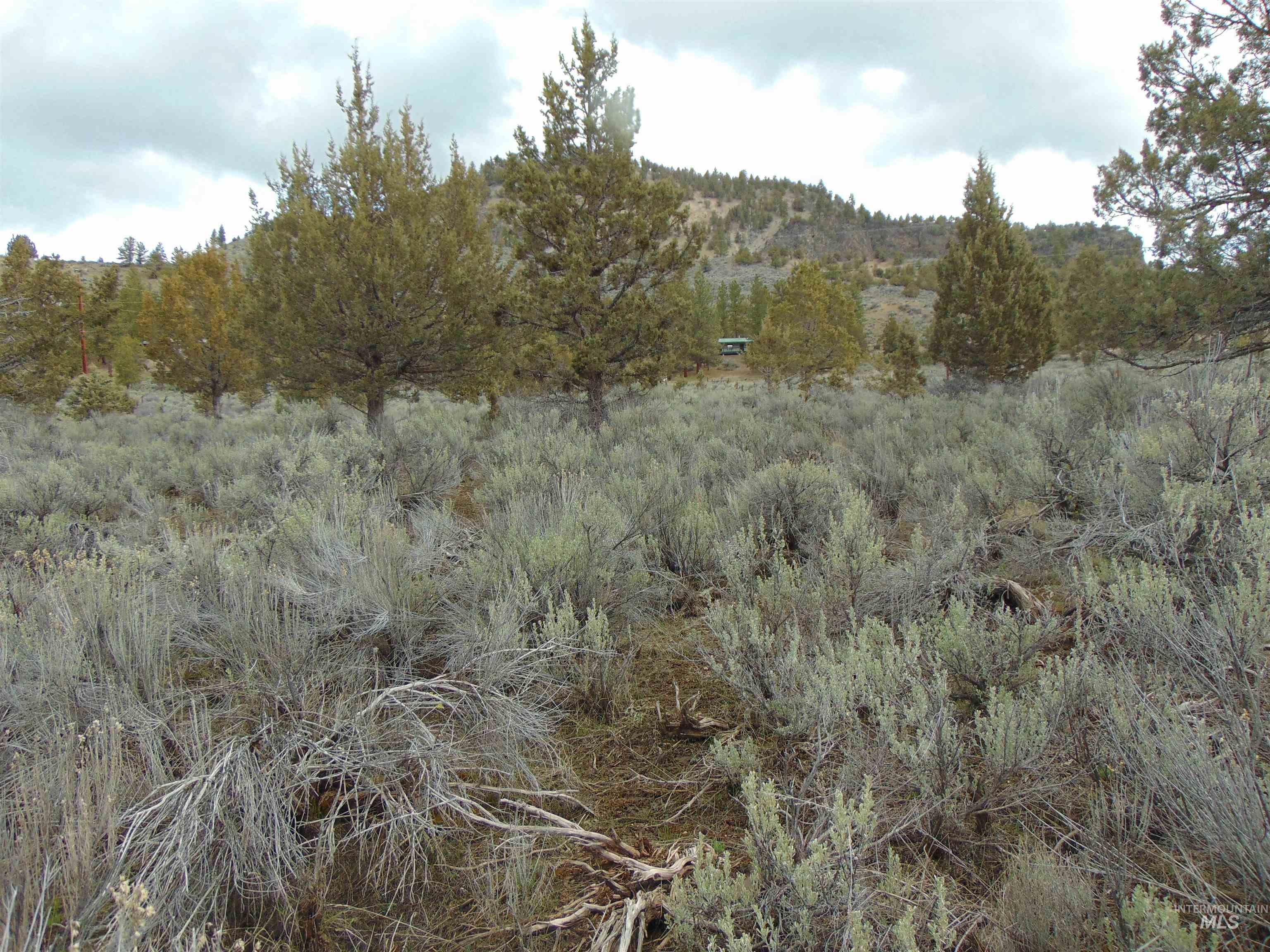 Tbd Rattlesnake Ln. Property Photo 8