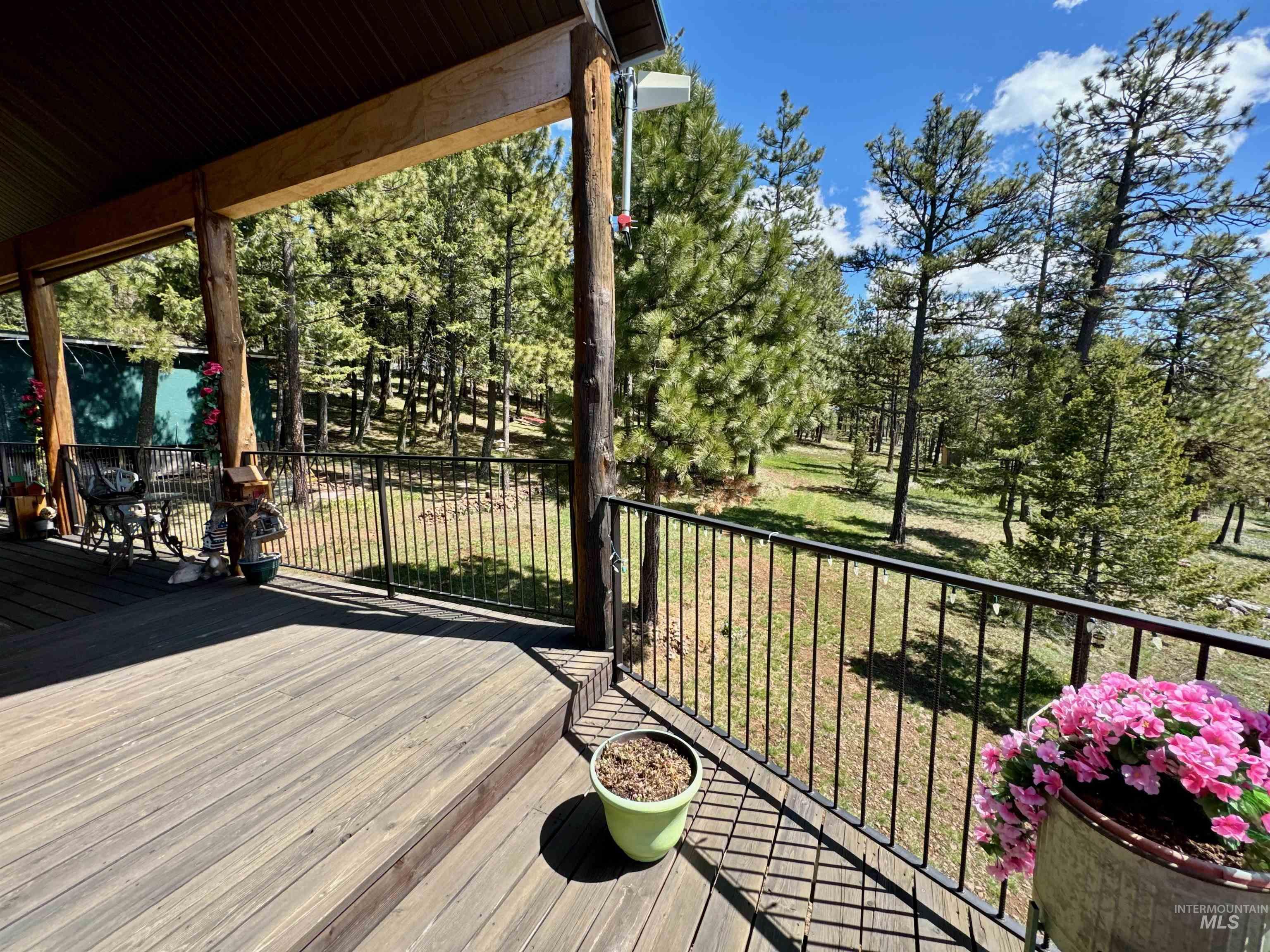 23003 Deer Creek Rd Property Photo 4