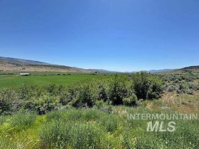 22855 Sweet Ola Hwy Property Photo 41