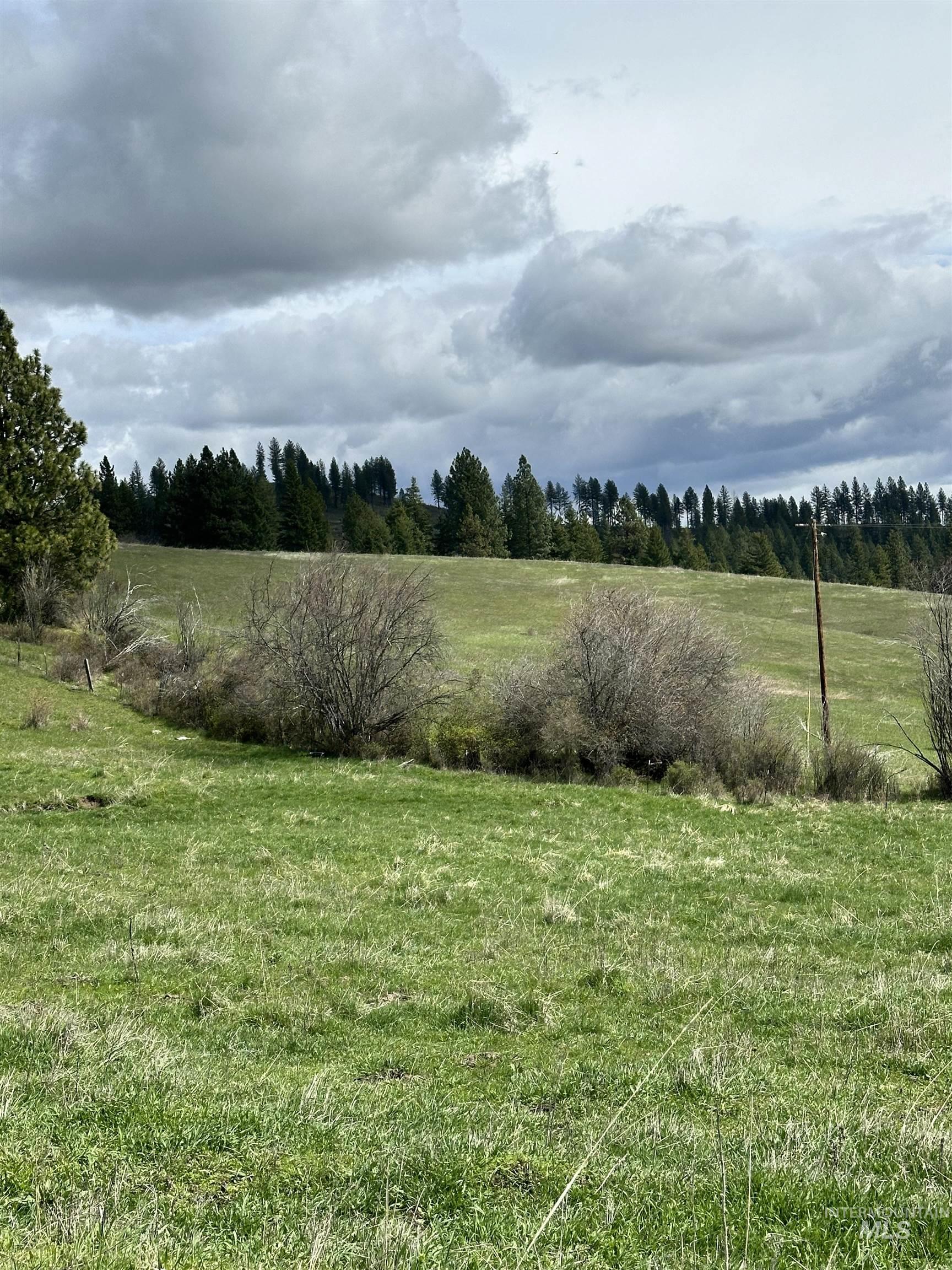 Tbd Llama Lane Property Photo 3