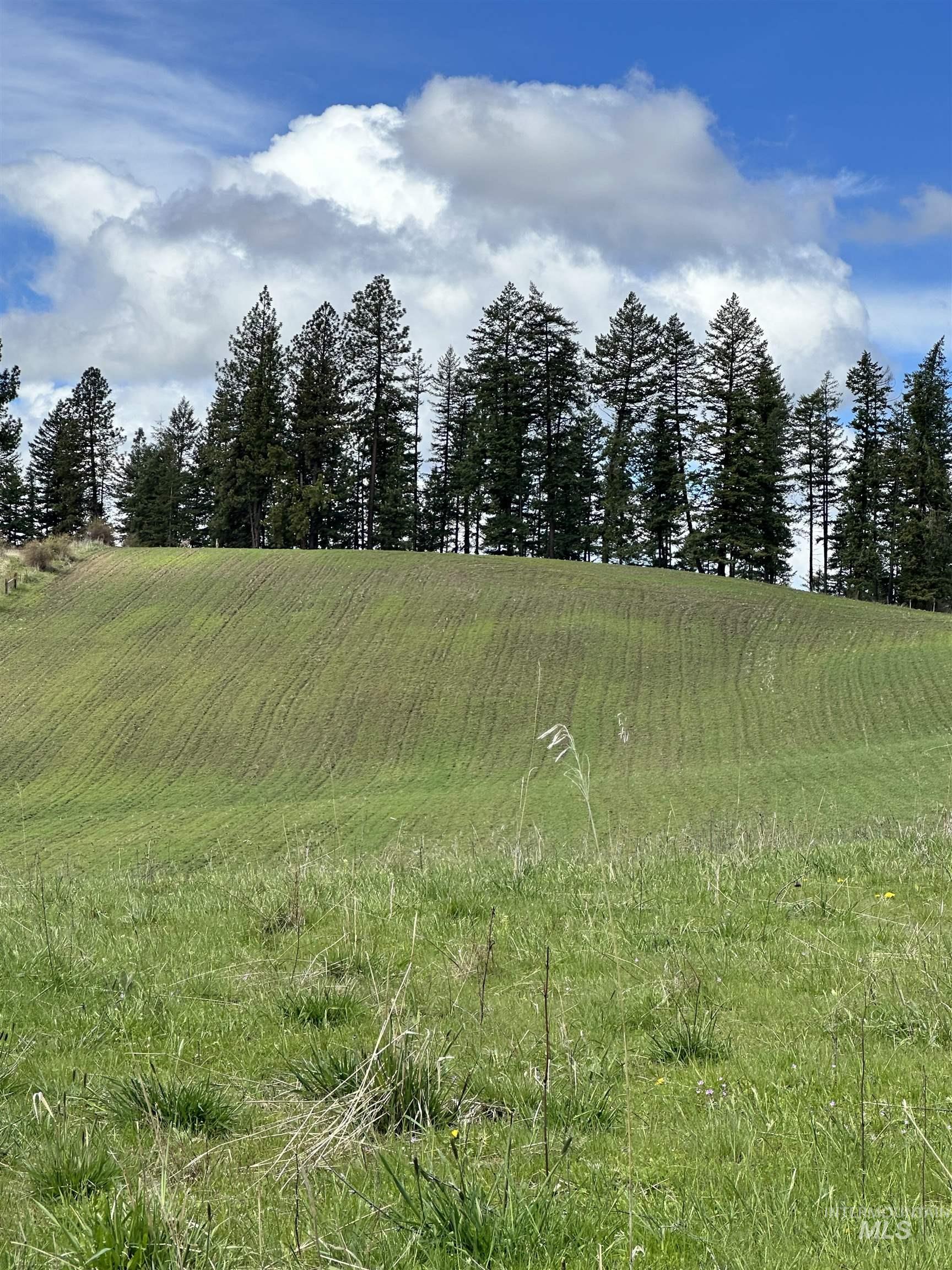 Tbd Llama Lane Property Photo 7