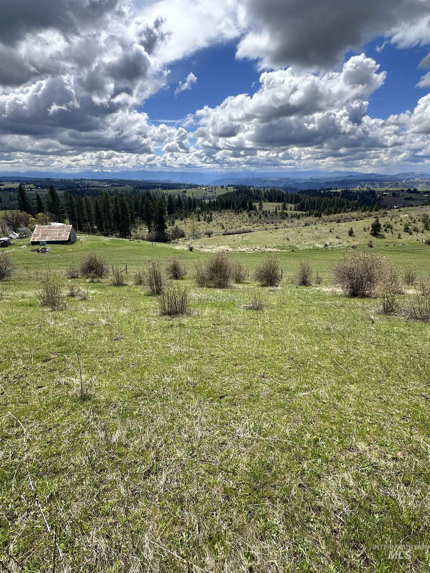 Tbd Llama Lane Property Photo 13