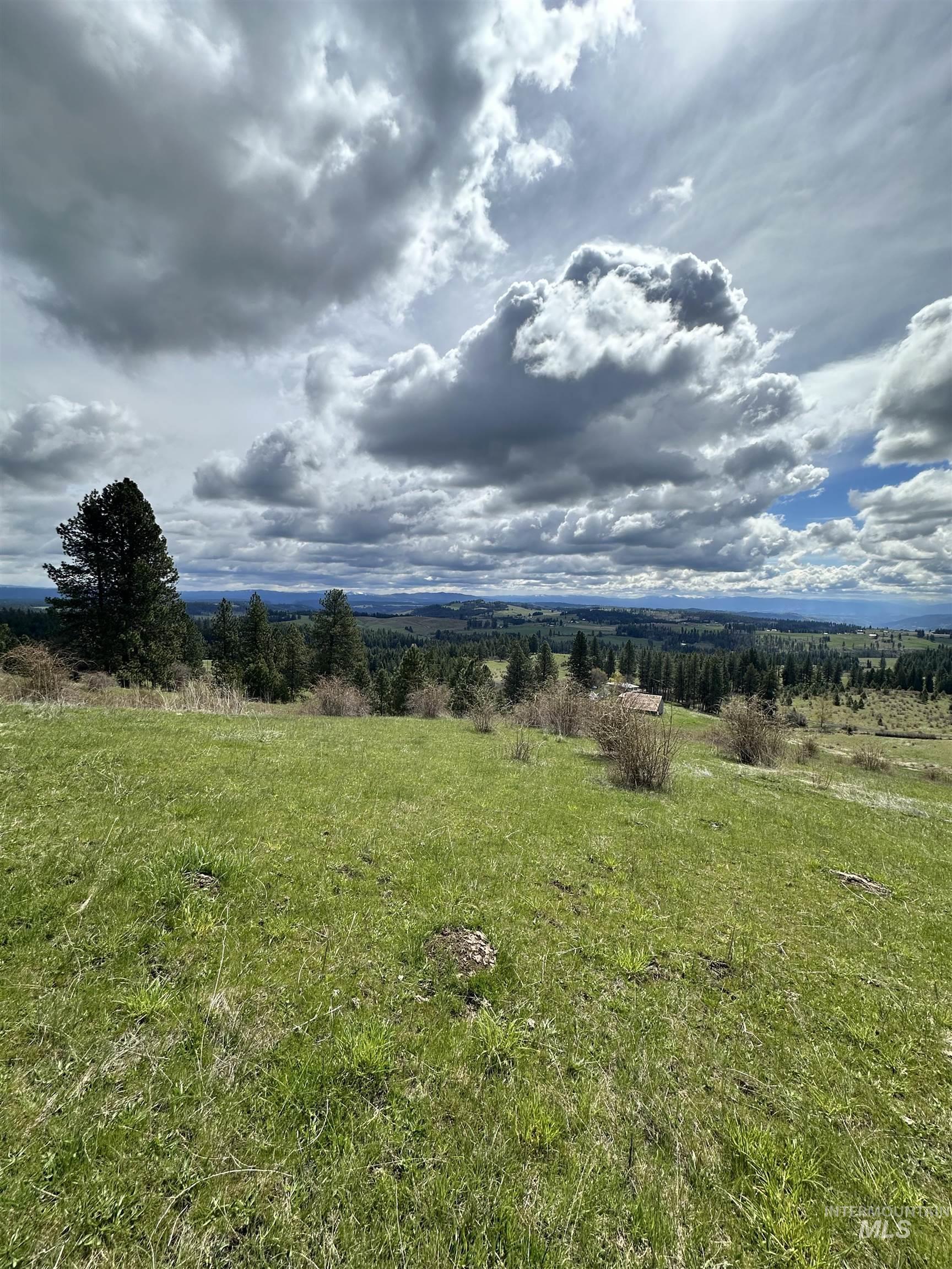 Tbd Llama Lane Property Photo 14