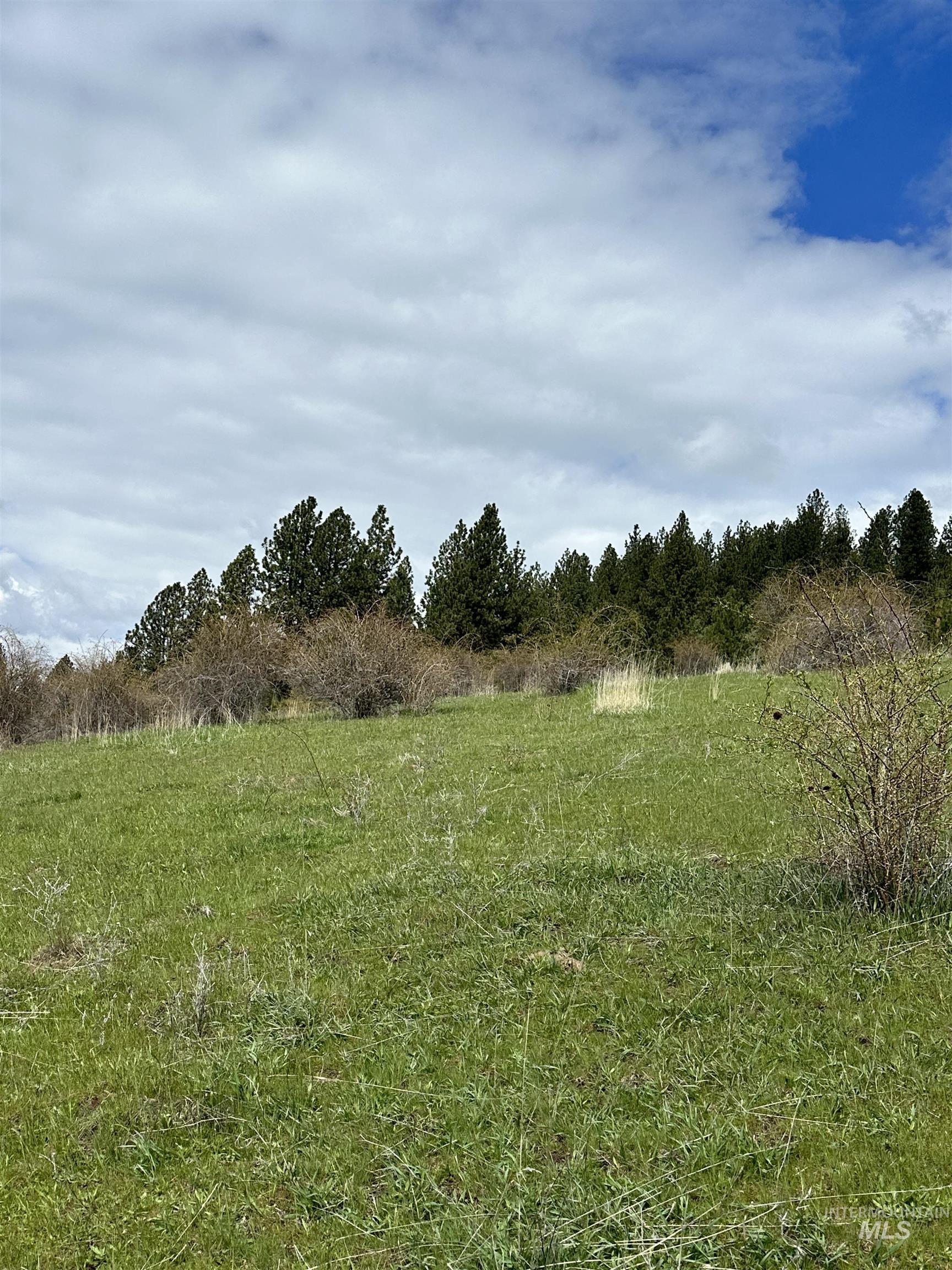 Tbd Llama Lane Property Photo 15