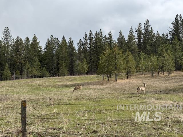 30 Acres Anatone Property Photo