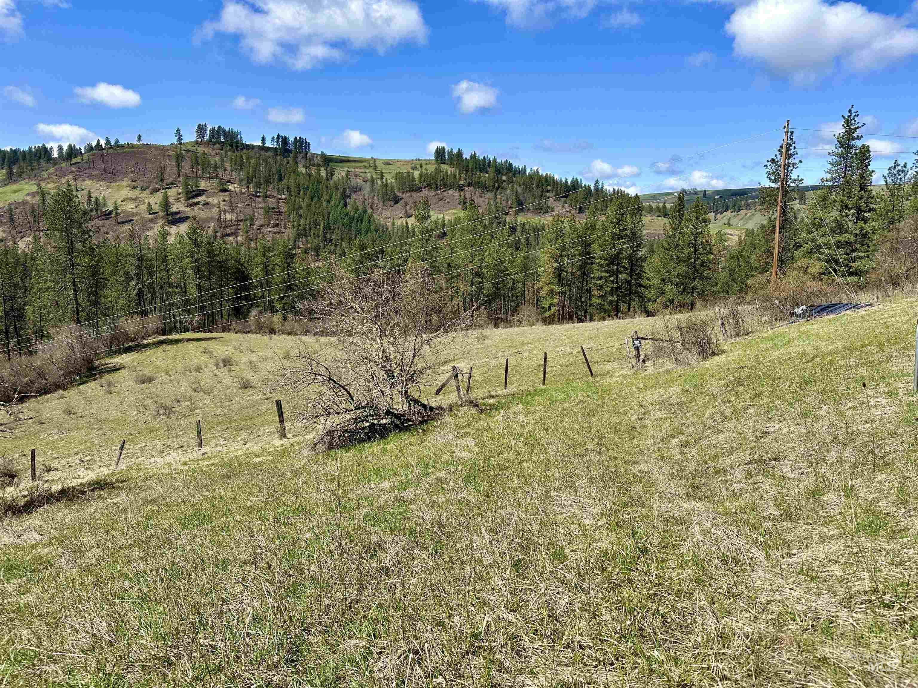 121 Ferguson Road Property Photo
