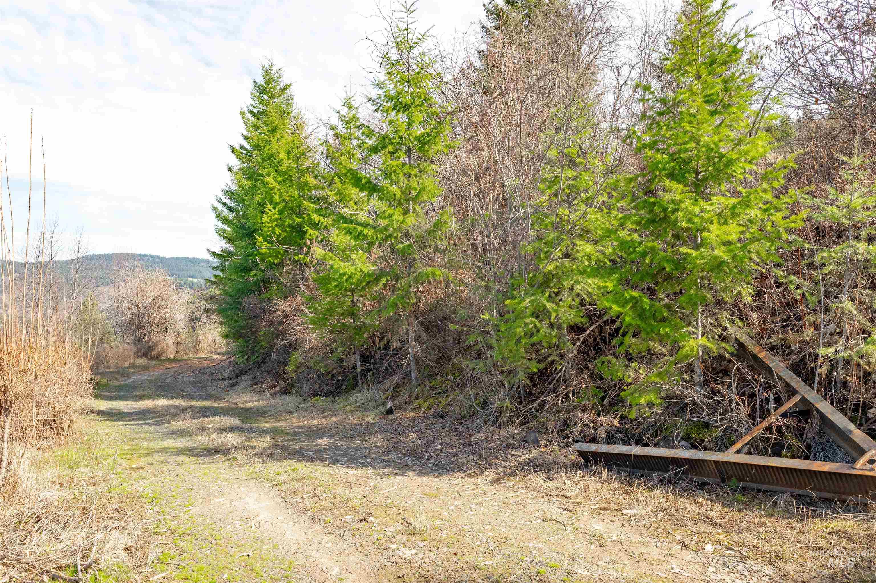 751 Wilderness Dr Property Photo 19