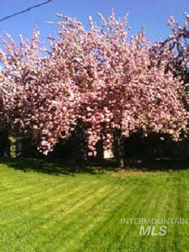 3430 Meadowlark Drive Property Photo 33