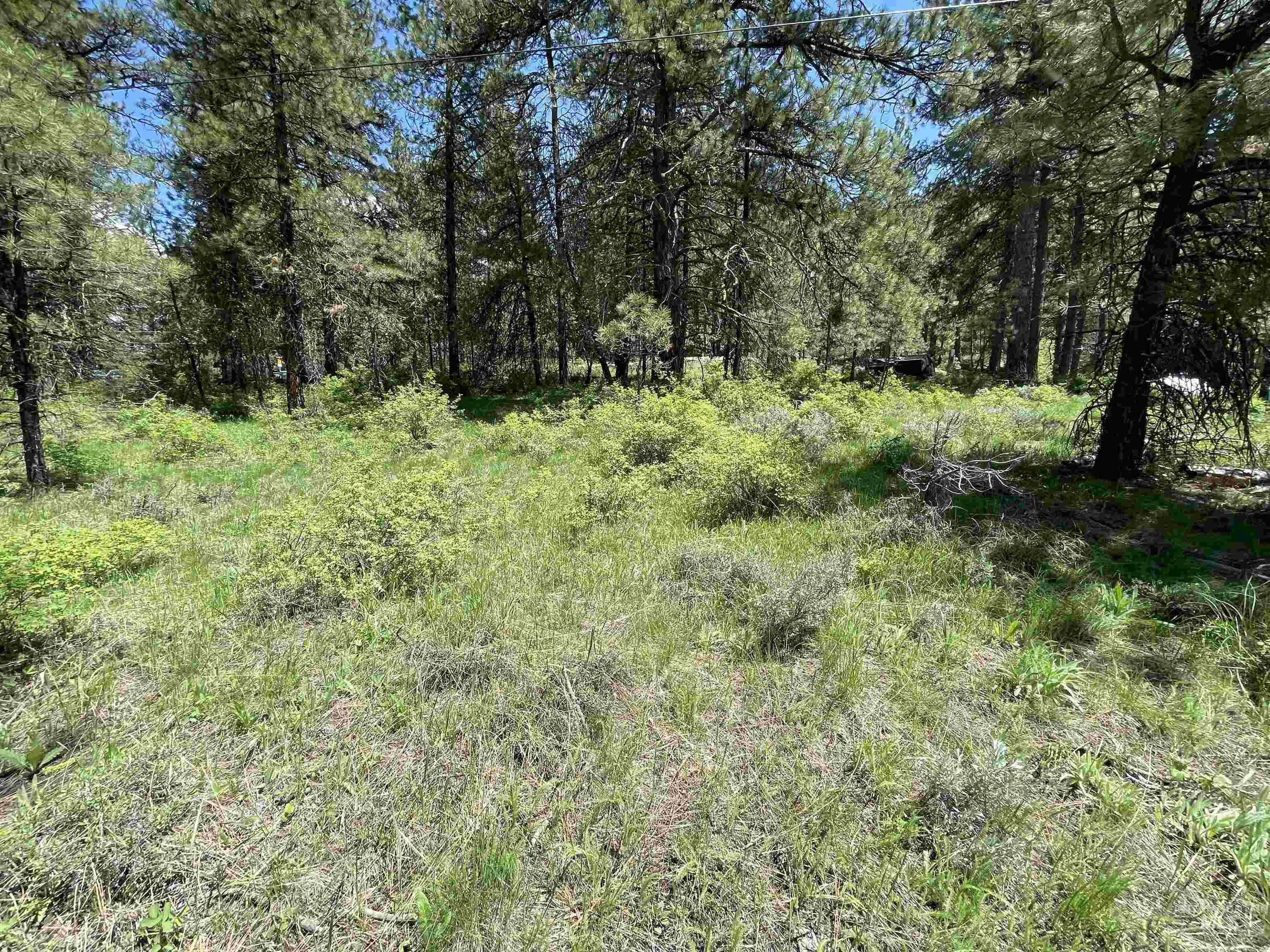 1307 Crown Point Parkway Property Photo