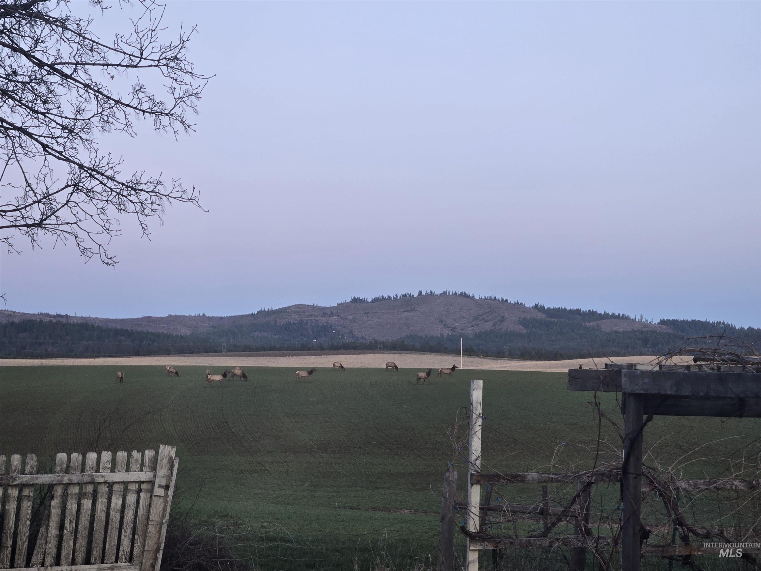 1647 Cedar Ridge Road Property Photo 30