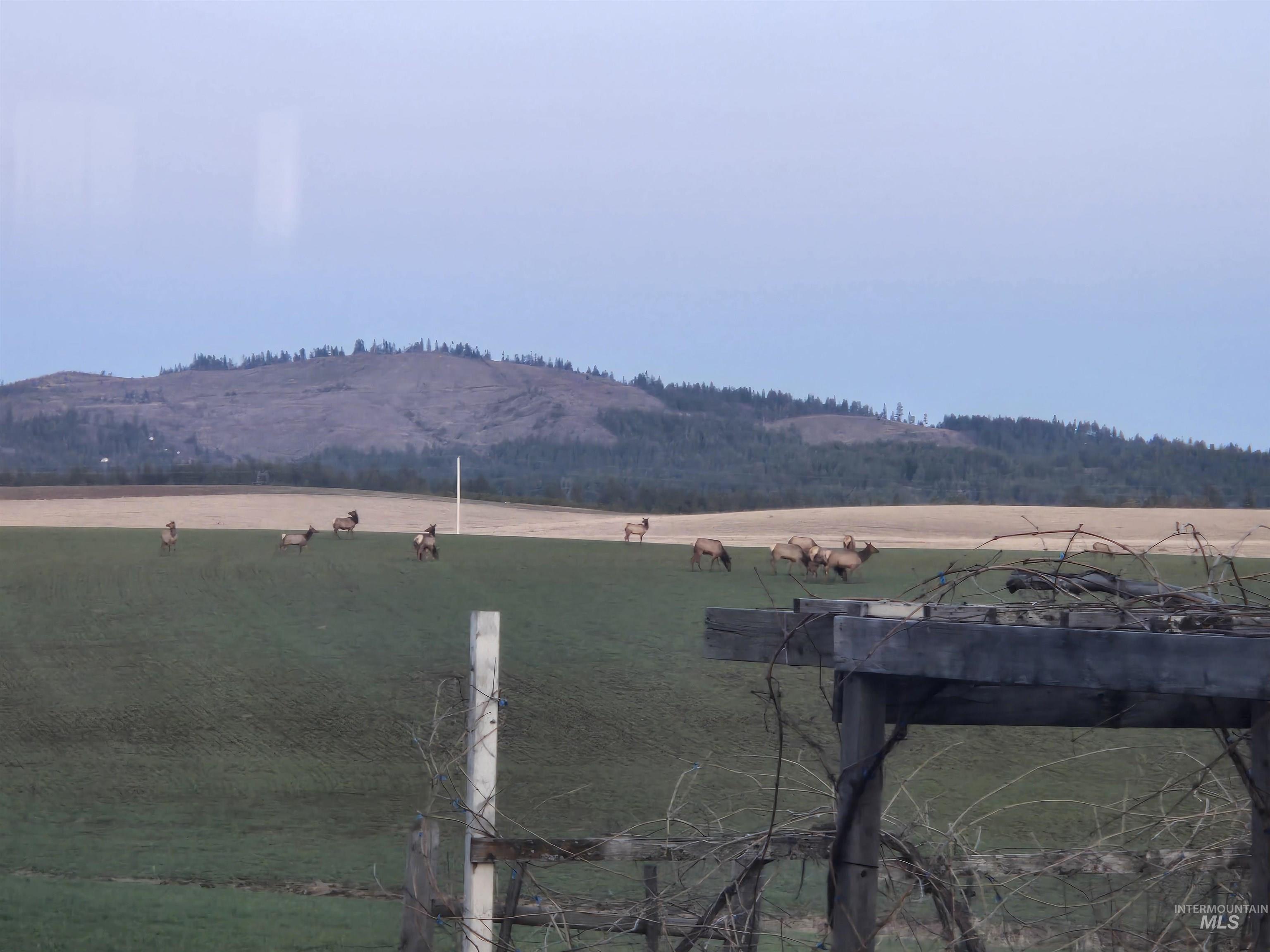 1647 Cedar Ridge Road Property Photo 31