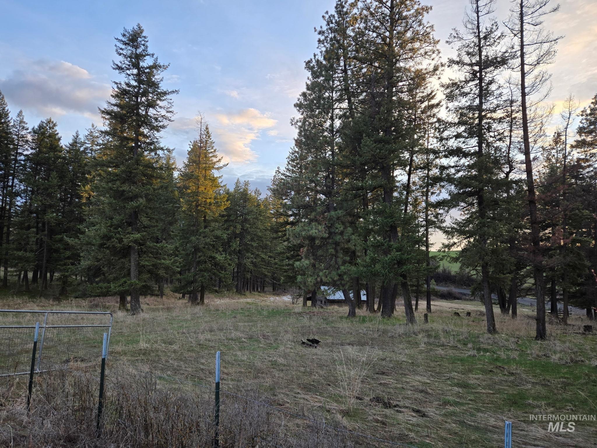 1647 Cedar Ridge Road Property Photo 34