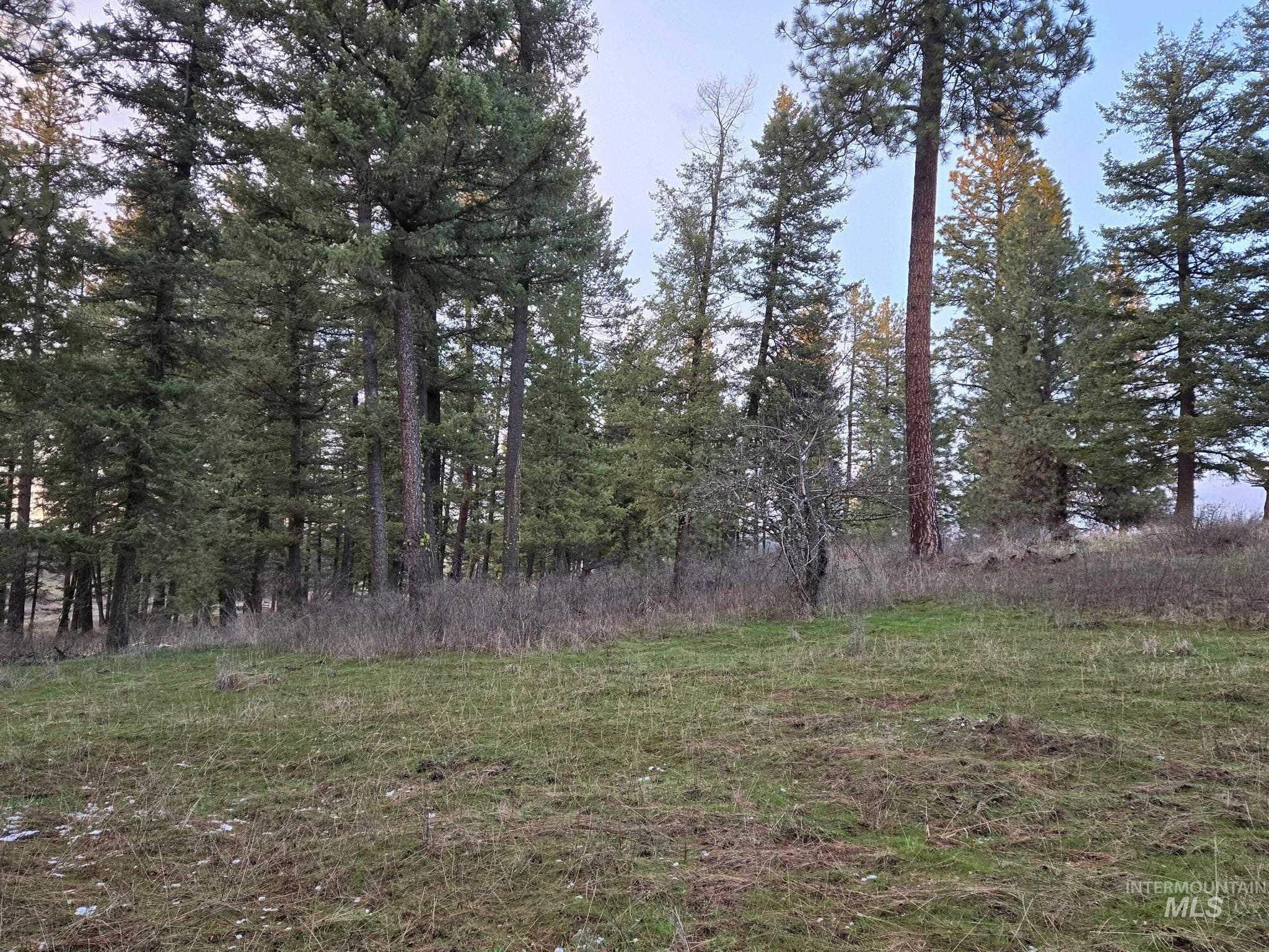 1647 Cedar Ridge Road Property Photo 35