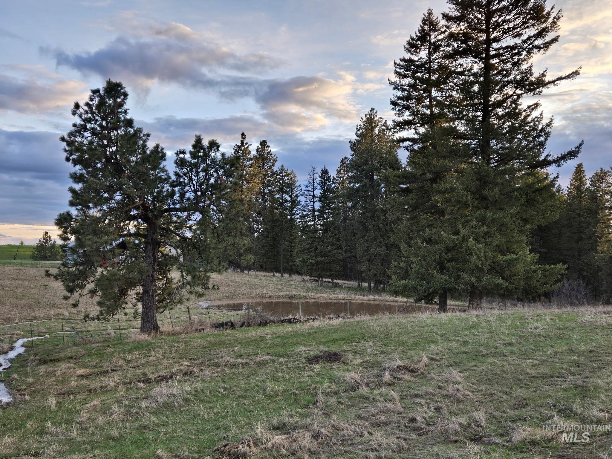 1647 Cedar Ridge Road Property Photo 36