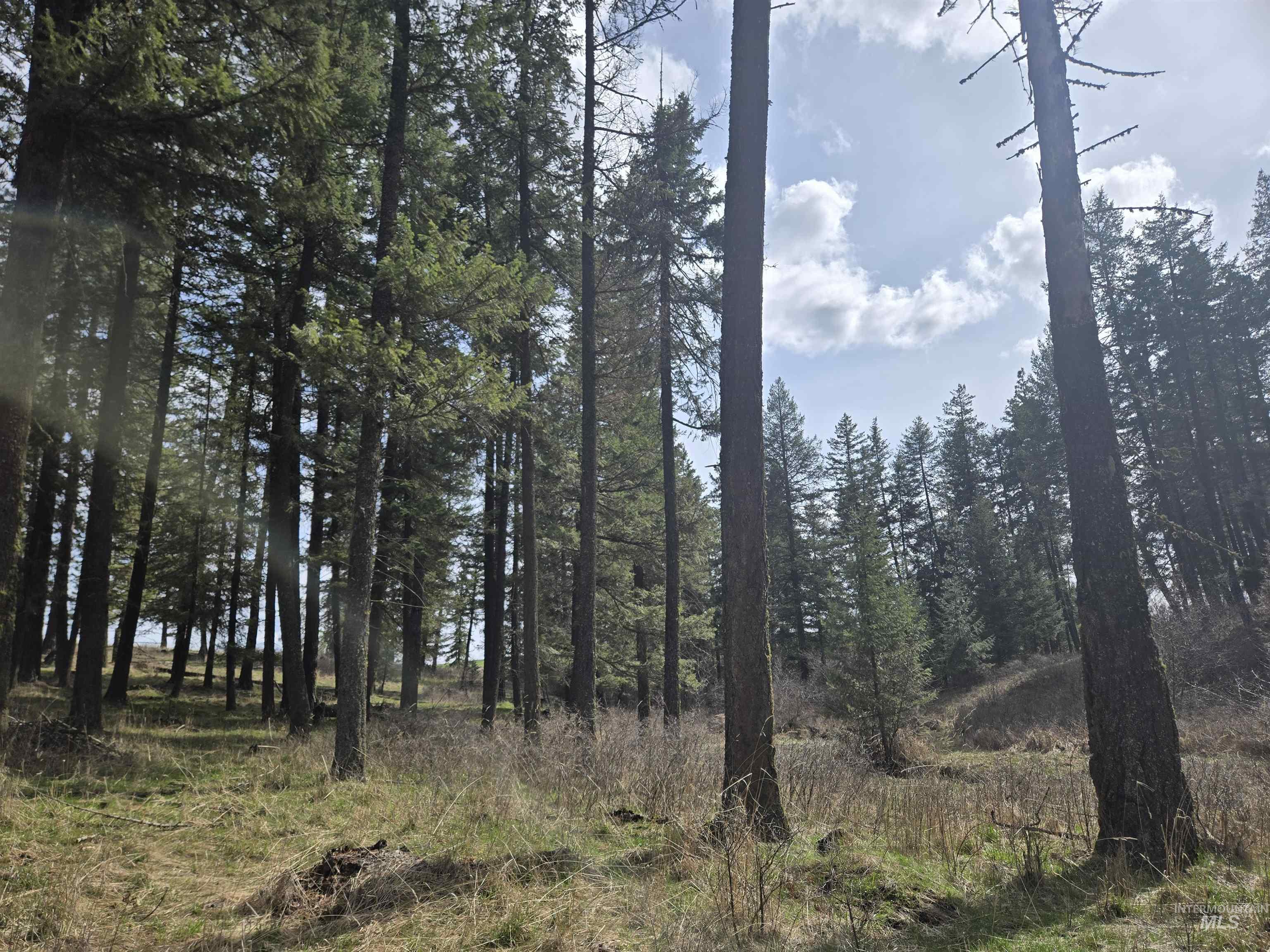 1647 Cedar Ridge Road Property Photo 38