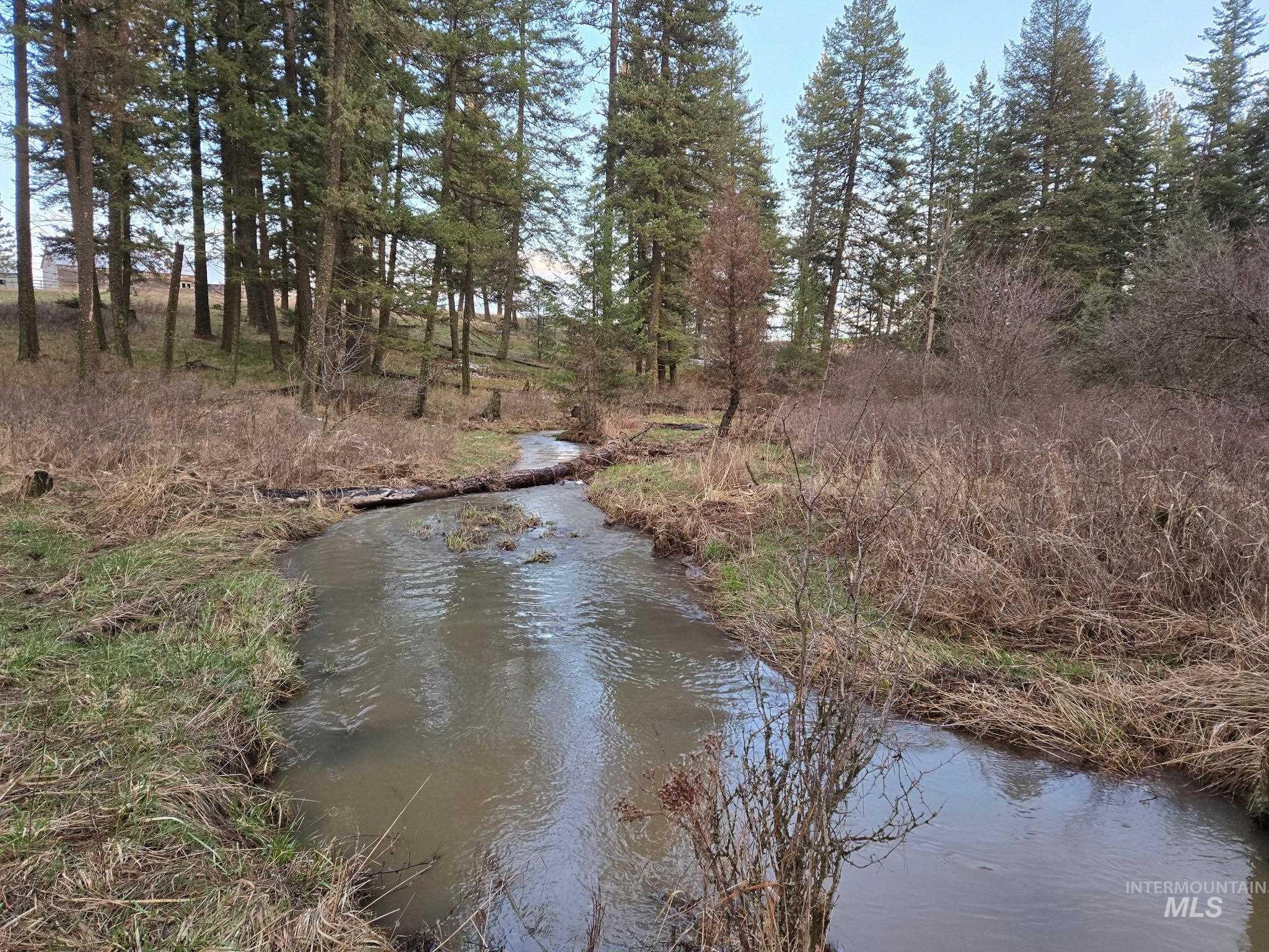 1647 Cedar Ridge Road Property Photo 39