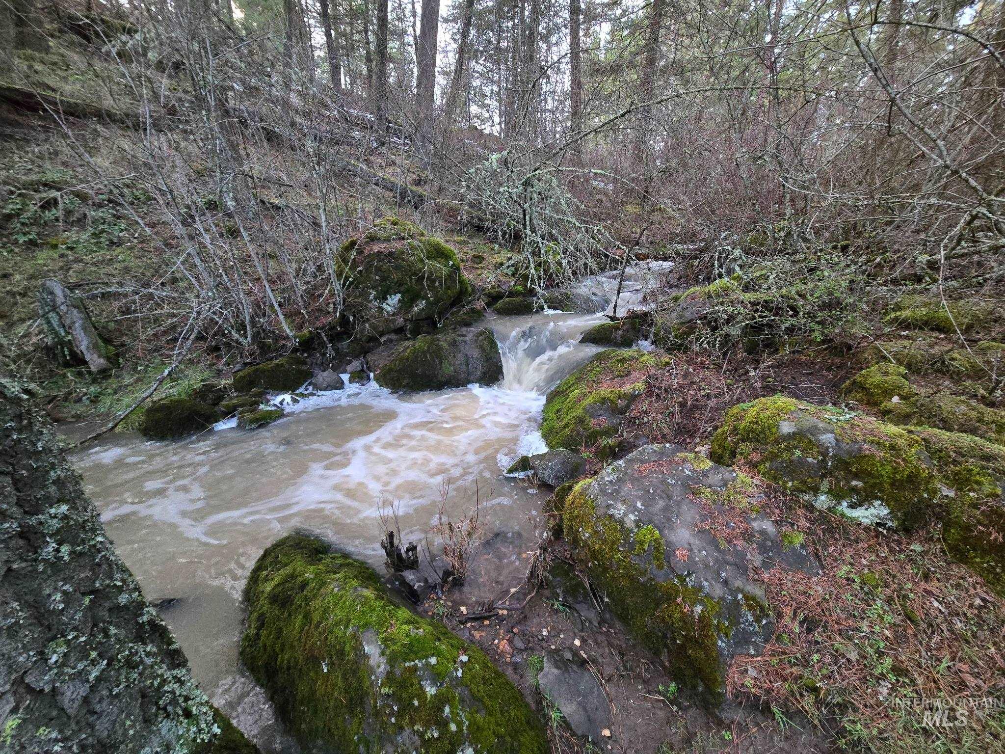 1647 Cedar Ridge Road Property Photo 41