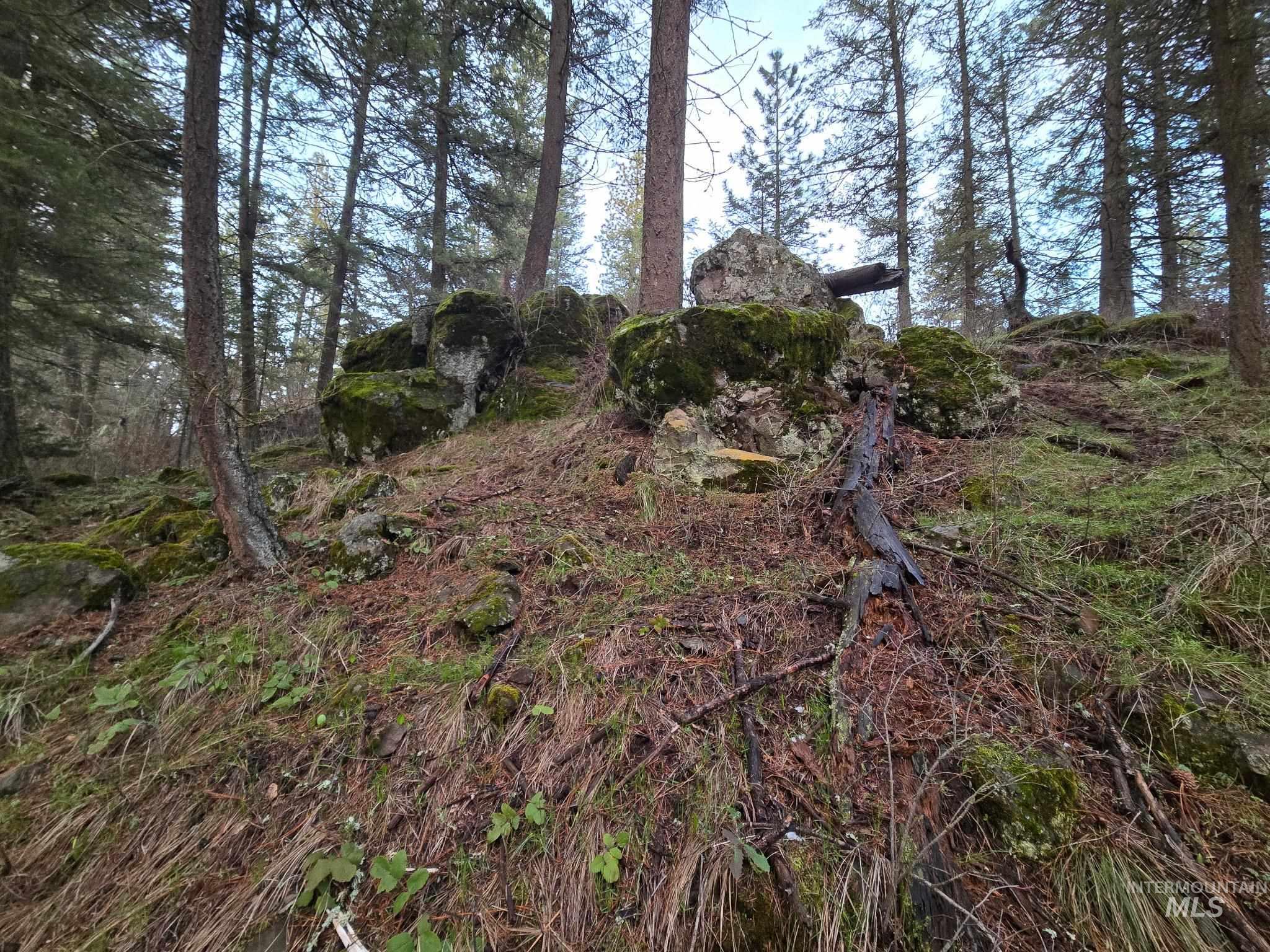 1647 Cedar Ridge Road Property Photo 42