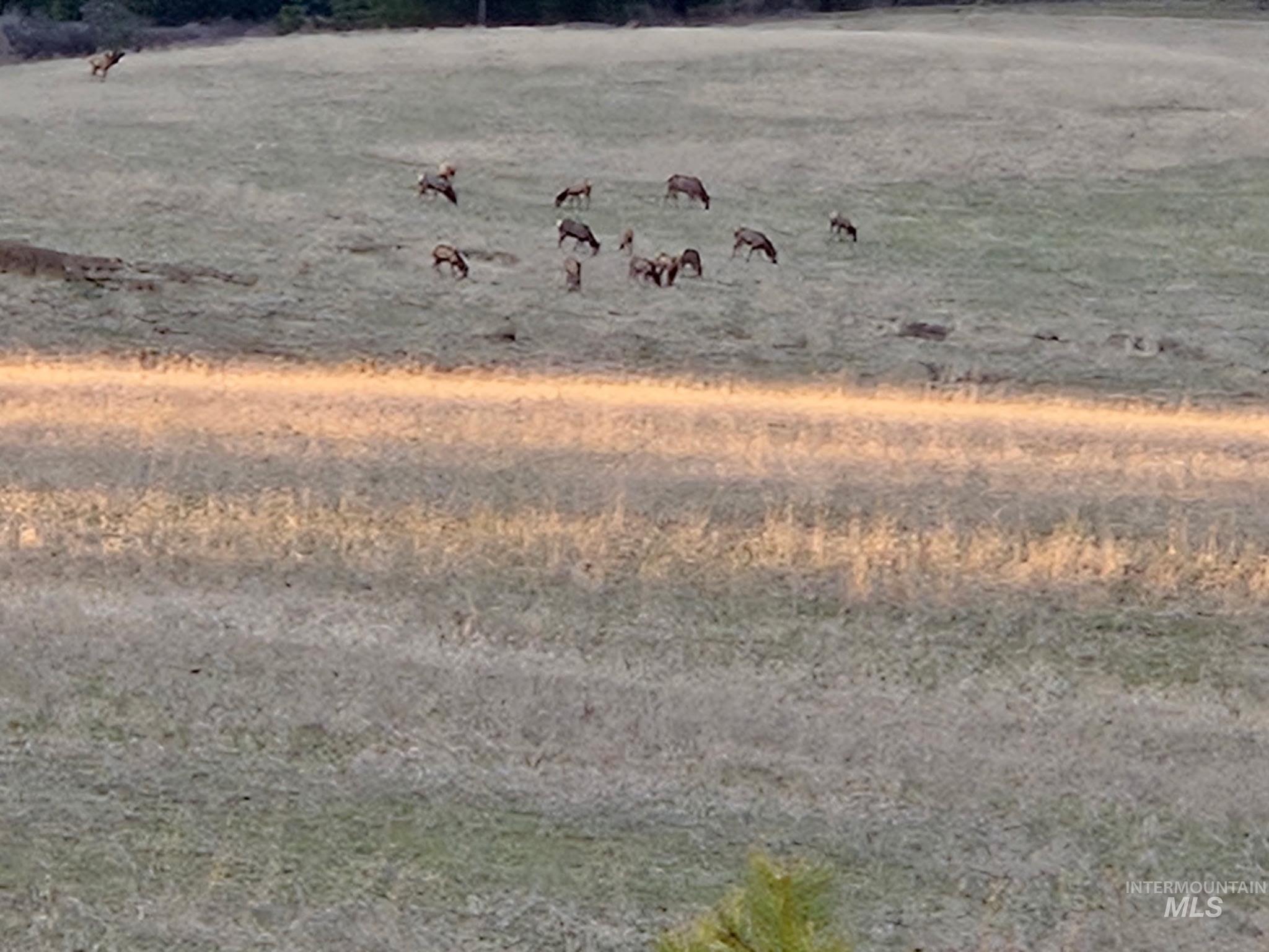 1647 Cedar Ridge Road Property Photo 44