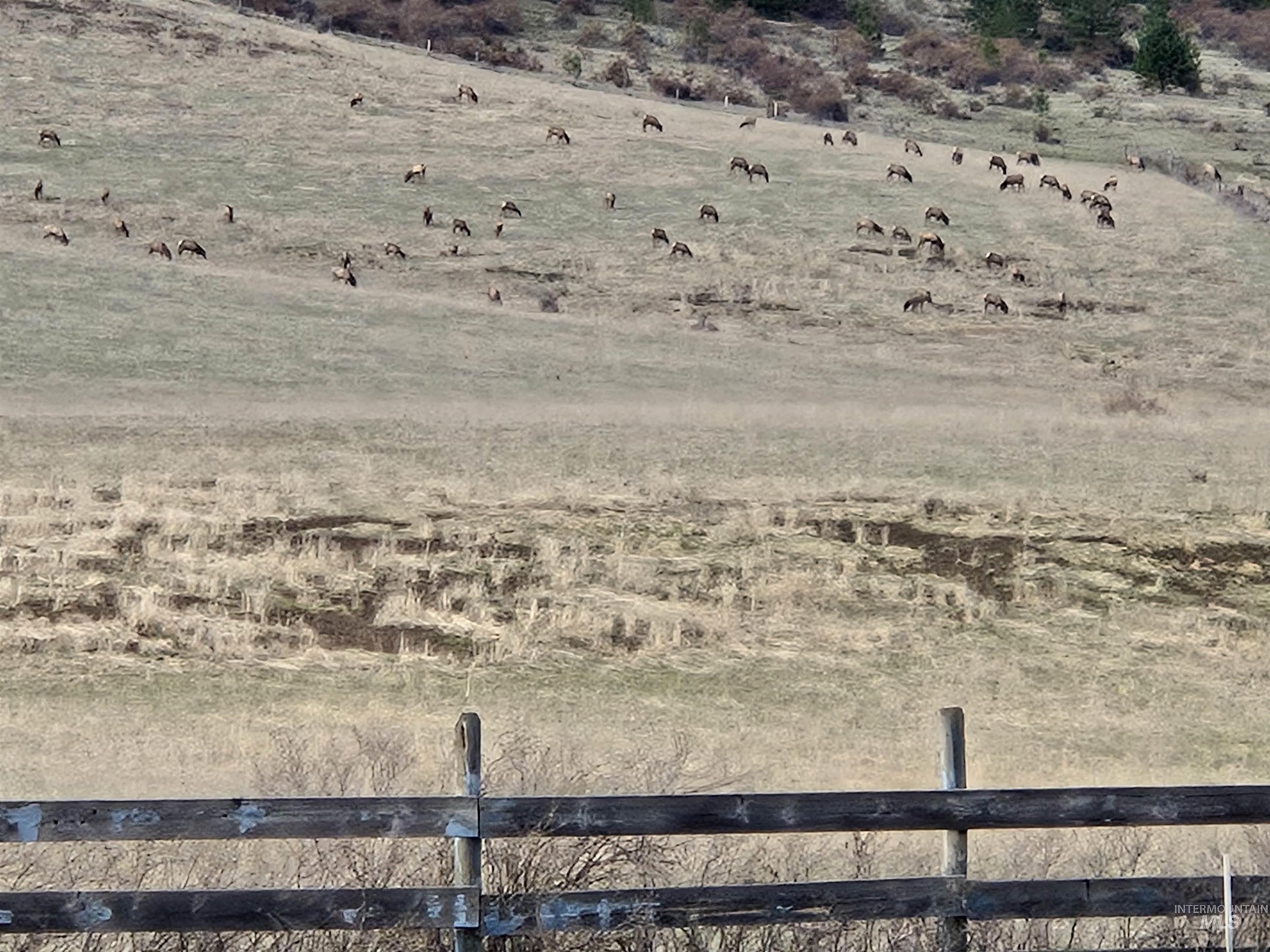 1647 Cedar Ridge Road Property Photo 45