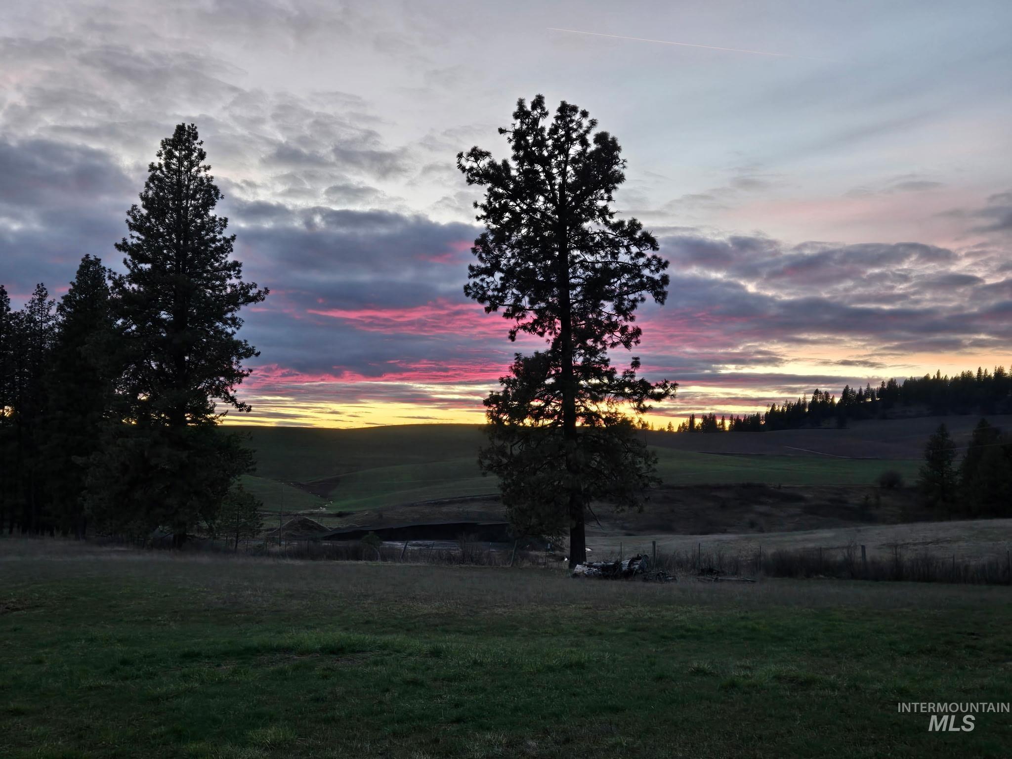 1647 Cedar Ridge Road Property Photo 48