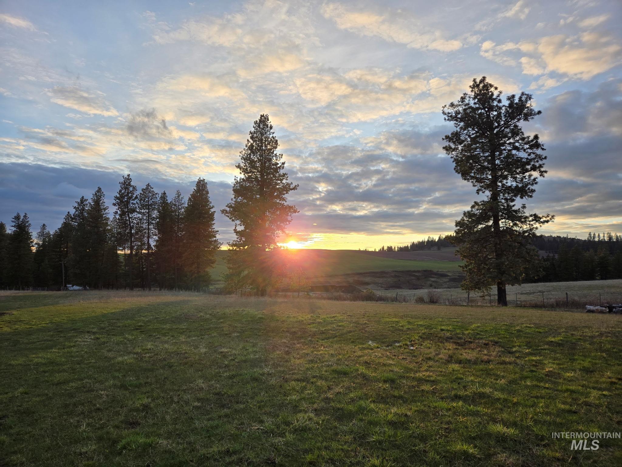 1647 Cedar Ridge Road Property Photo 49