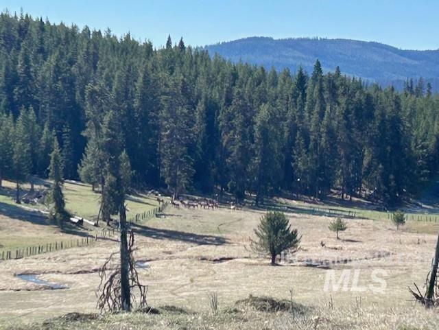 170 Spur Rd Property Photo 3