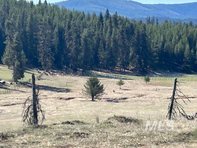 170 Spur Rd Property Photo 4