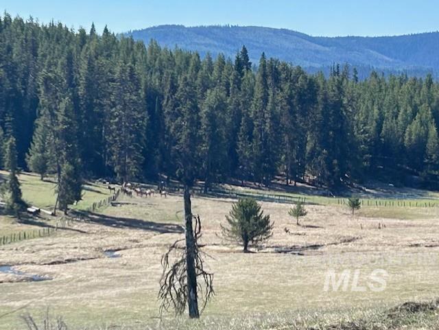 170 Spur Rd Property Photo 7