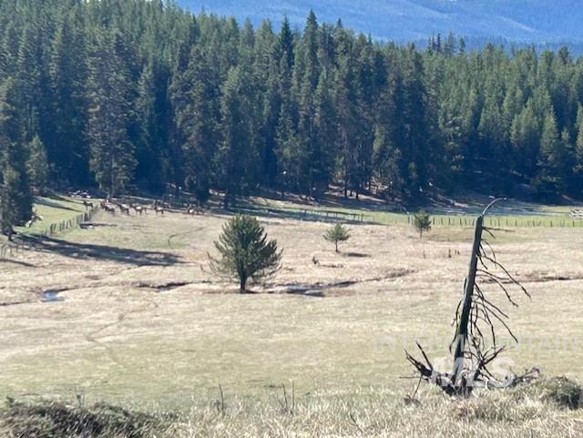 170 Spur Rd Property Photo 8