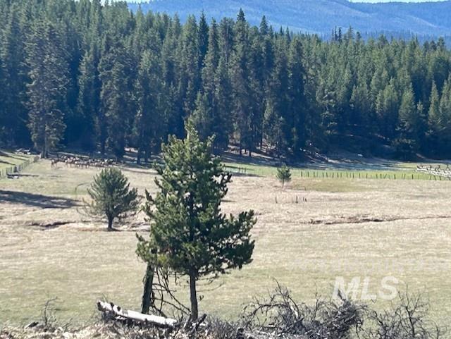 170 Spur Rd Property Photo 12