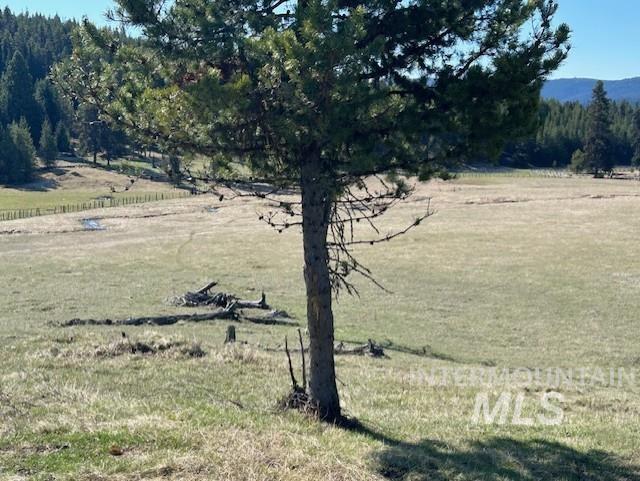 170 Spur Rd Property Photo 16