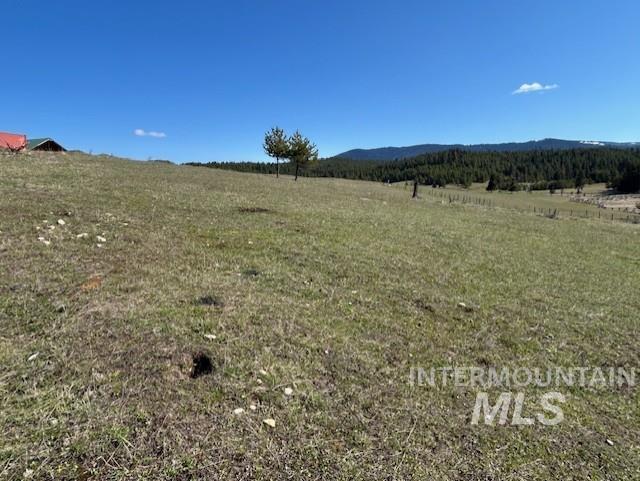 170 Spur Rd Property Photo 17