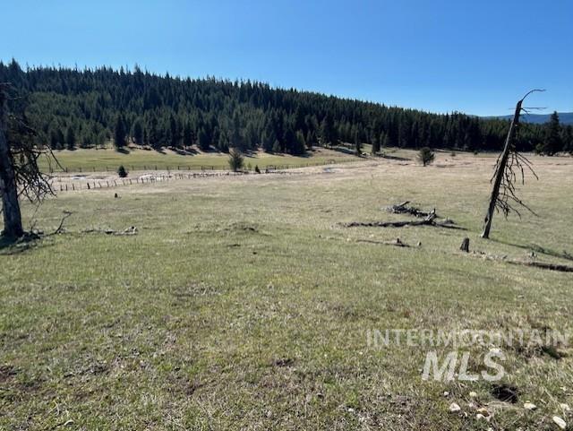 170 Spur Rd Property Photo 19