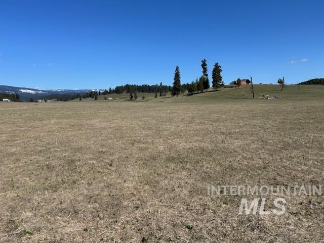 170 Spur Rd Property Photo 22