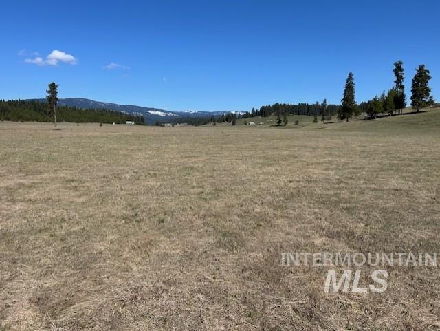 170 Spur Rd Property Photo 23