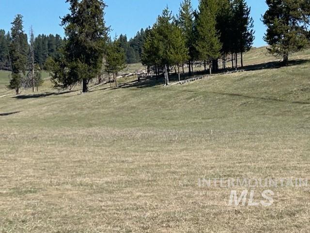 170 Spur Rd Property Photo 27