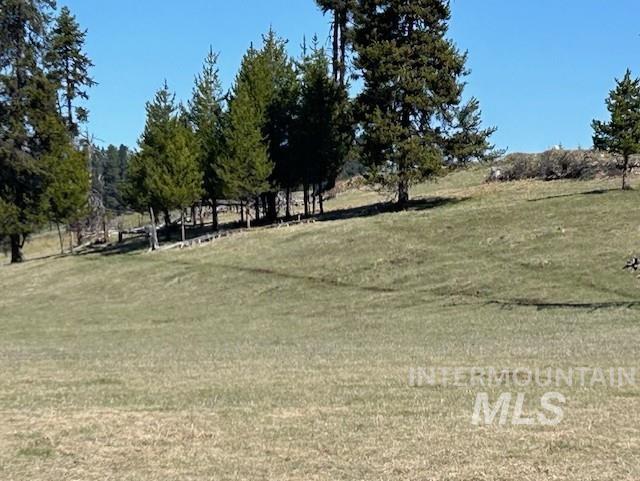 170 Spur Rd Property Photo 29